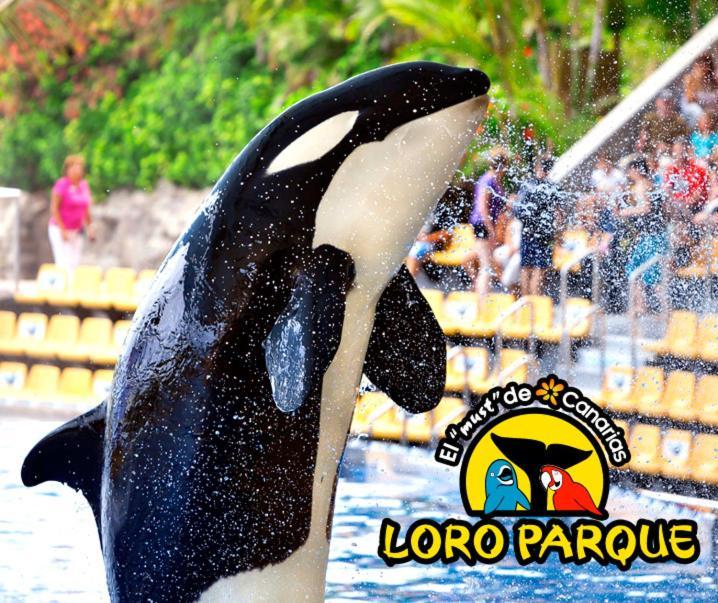 Beautiful Apartment Las Americas Playa Del Bobo プラヤ・デ・ラス・アメリカス エクステリア 写真